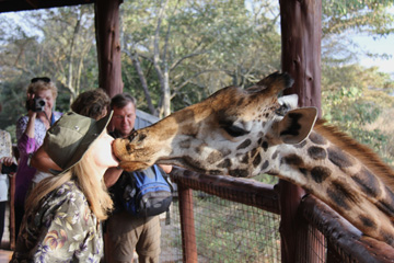 a Picture of Joany Being kissed by a Giraffe